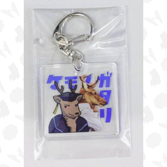 望月 (アングル違い)