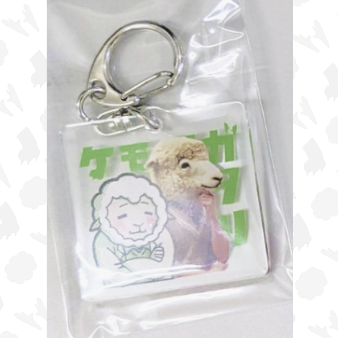 田中 (アングル違い)